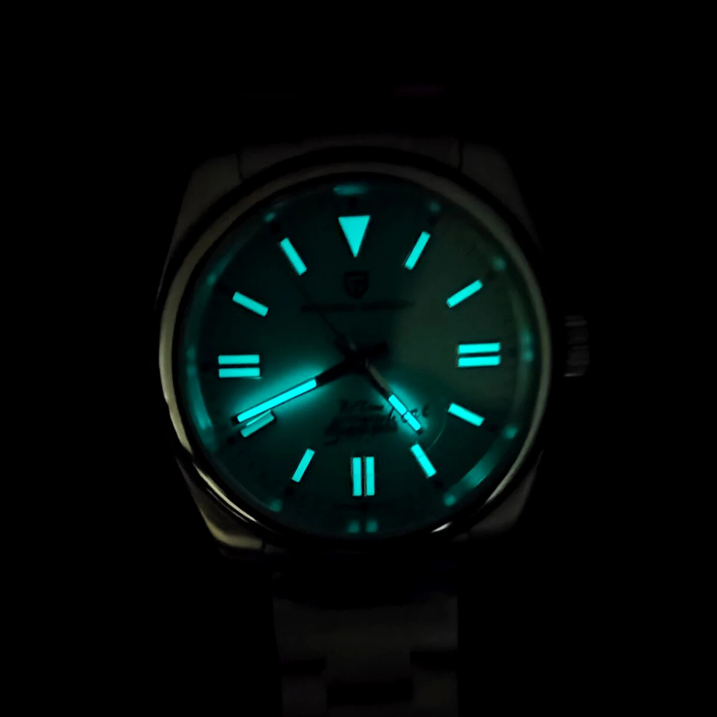 PAGANI DESIGN Luxury Classic M - Luxury Watch Store 评论和价格